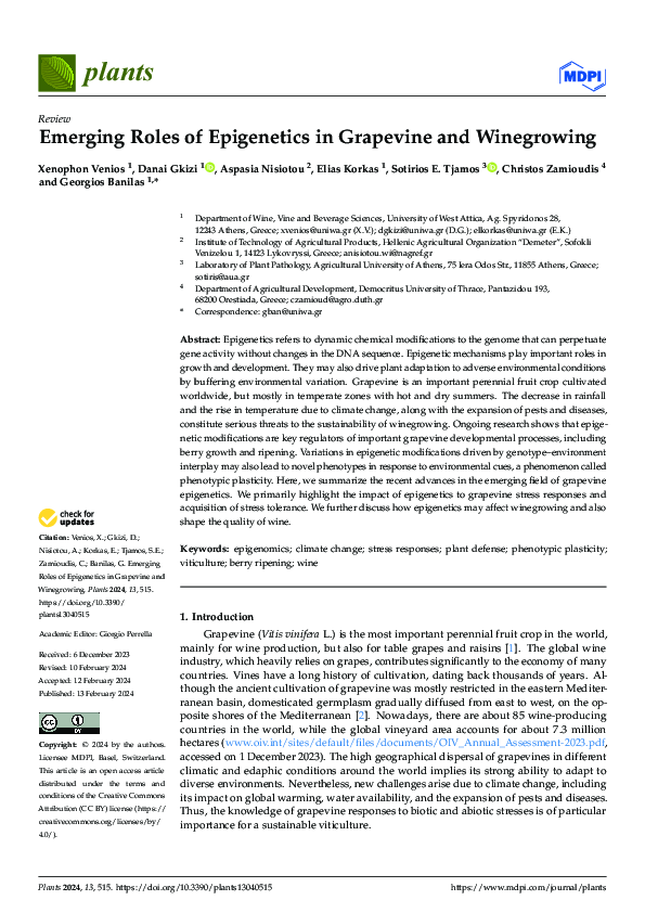 (PDF) Emerging Roles of Epigenetics in Grapevine and Winegrowing