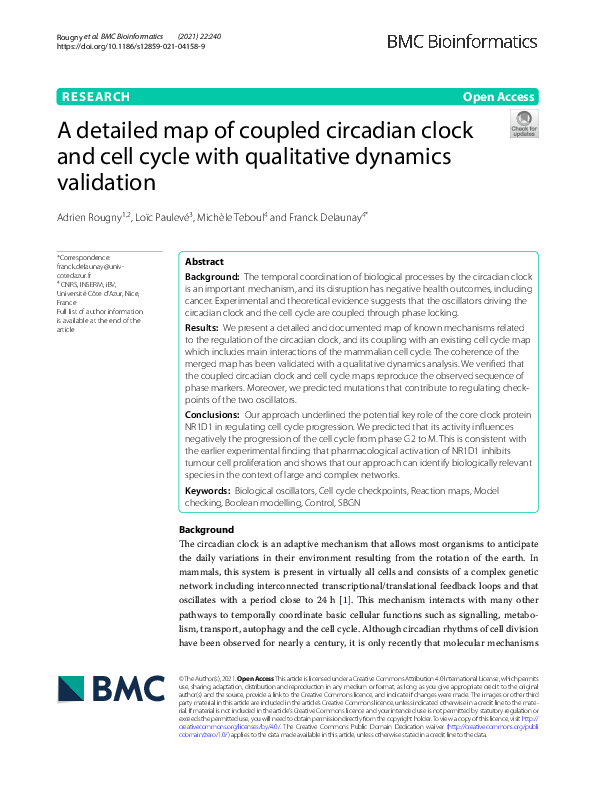 (PDF) A detailed map of coupled circadian clock and cell cycle with ...