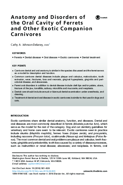 Image showcasing (PDF) Anatomy and Disorders of the Oral Cavity of Ferrets and Other ...