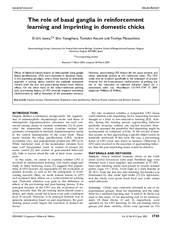 (PDF) The role of basal ganglia in reinforcement learning and ...