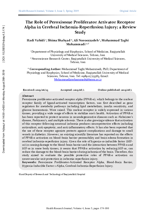 (PDF) The Role of Peroxisome Proliferator Activator Receptor Alpha in ...