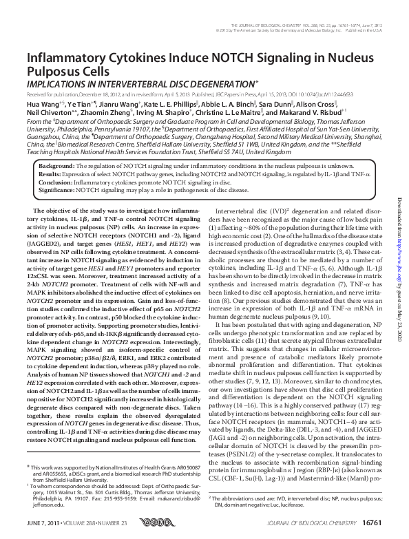 (PDF) Inflammatory Cytokines Induce NOTCH Signaling in Nucleus Pulposus ...