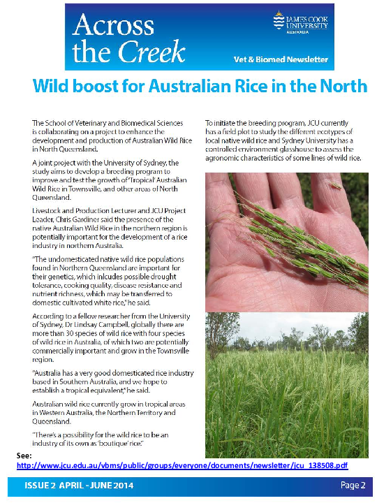 (PDF) Wild boost for Australian rice in the North