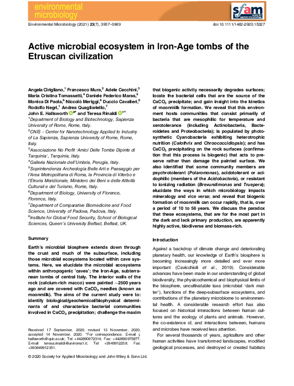 (PDF) Active microbial ecosystem in Iron-Age tombs of the Etruscan ...