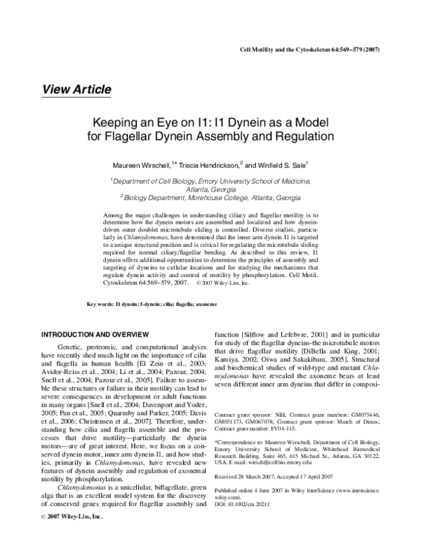 (PDF) Keeping an eye on I1: I1 dynein as a model for flagellar dynein ...