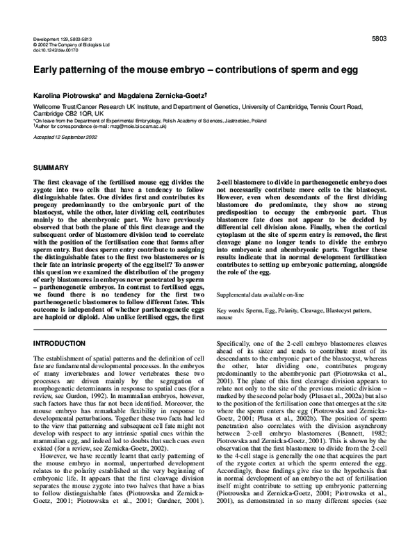 (PDF) Early patterning of the mouse embryo — contributions of sperm and egg