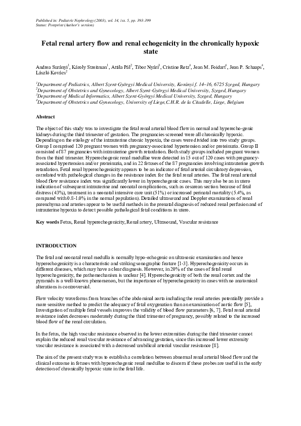 (PDF) Fetal renal artery flow and renal echogenicity in the chronically ...