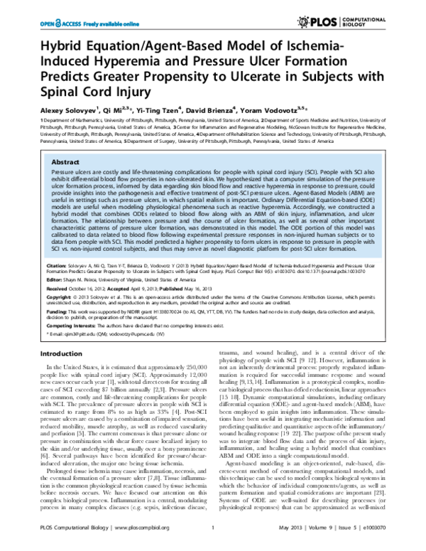 (PDF) Hybrid Equation/Agent-Based Model of Ischemia-Induced Hyperemia ...