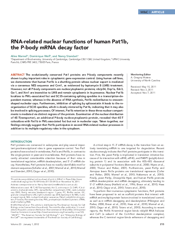(PDF) RNA-related nuclear functions of human Pat1b, the P-body mRNA ...