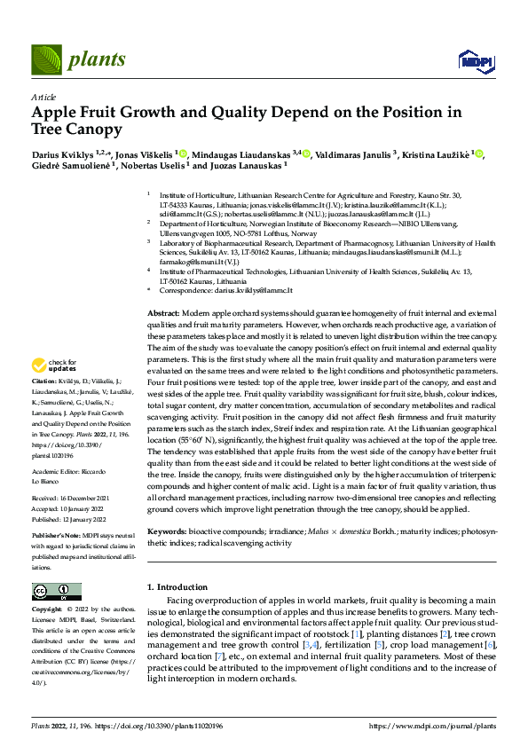 (PDF) Apple Fruit Growth and Quality Depend on the Position in Tree Canopy