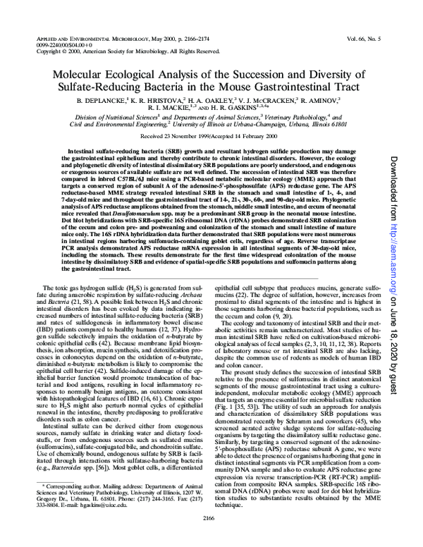 (PDF) Molecular Ecological Analysis of the Succession and Diversity of ...