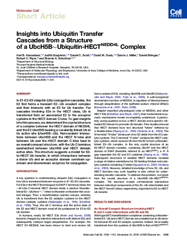 (PDF) Insights into Ubiquitin Transfer Cascades from a Structure of a ...