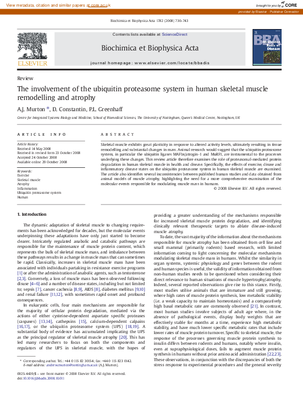 (PDF) The involvement of the ubiquitin proteasome system in human ...