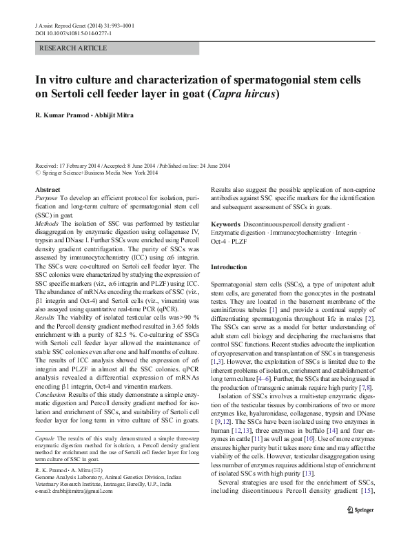 (PDF) In vitro culture and characterization of spermatogonial stem ...
