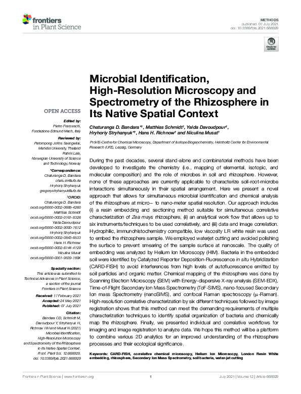 (PDF) Microbial Identification, High-Resolution Microscopy and ...