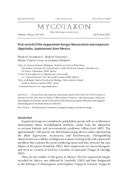 (PDF) First record of the sequestrate fungus Neosecotium macrosporum ...
