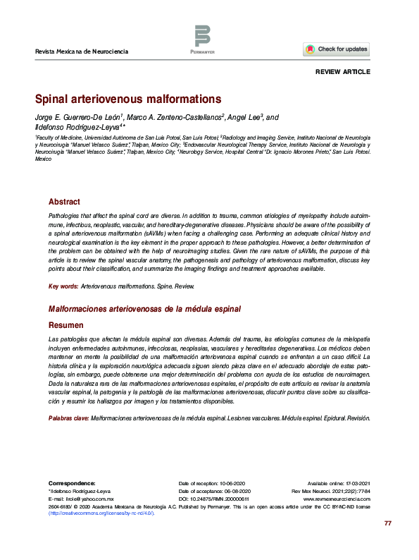 (PDF) Spinal arteriovenous malformations