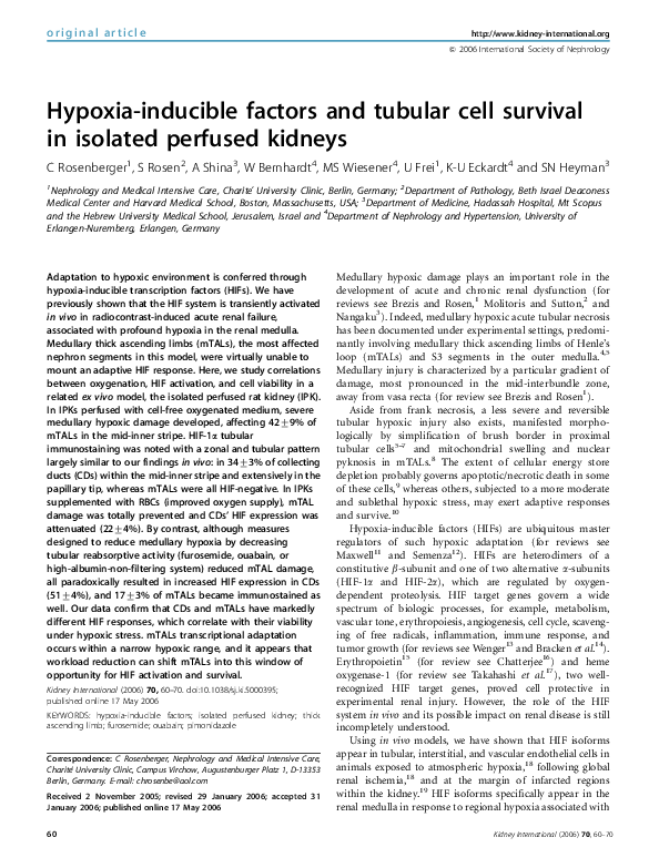 (PDF) Hypoxia-inducible factors and tubular cell survival in isolated ...