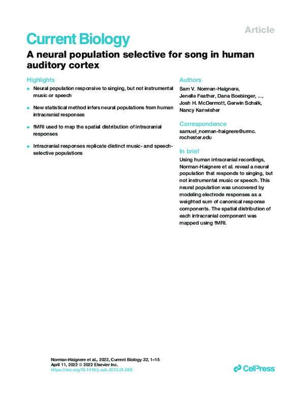 (PDF) A neural population selective for song in human auditory cortex