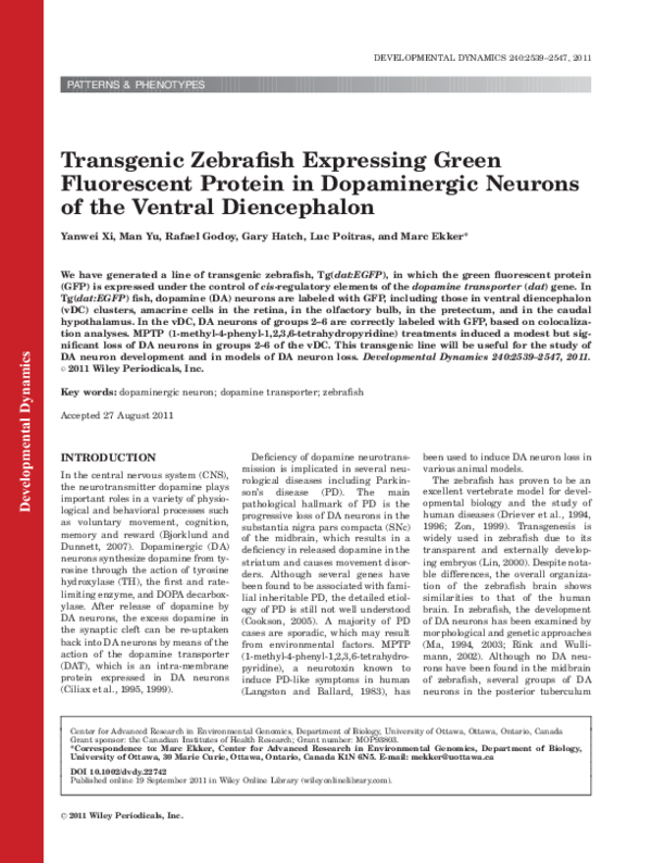 (PDF) Transgenic zebrafish expressing green fluorescent protein in ...