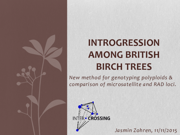 (PDF) Introgression Among British Birch Trees