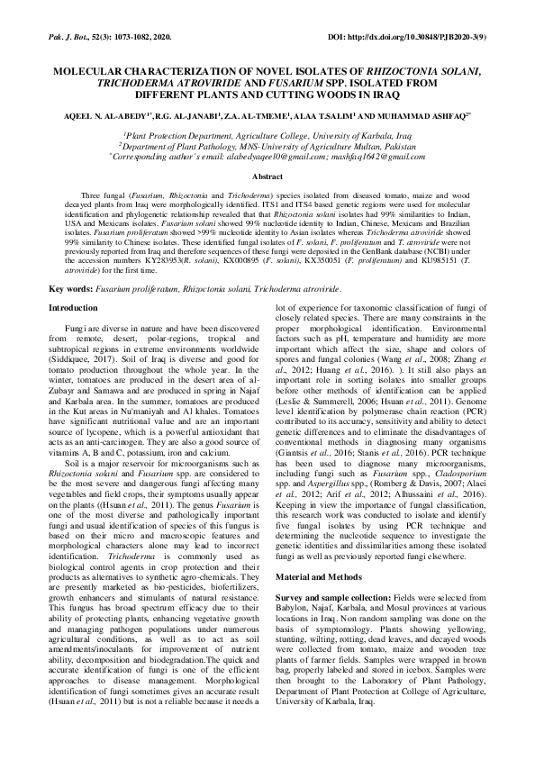 (PDF) MOLECULAR CHARACTERIZATION OF NOVEL ISOLATES OF RHIZOCTONIA ...