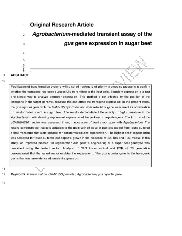 (PDF) Agrobacterium-Mediated Transient Assay of the Gus Gene Expression ...