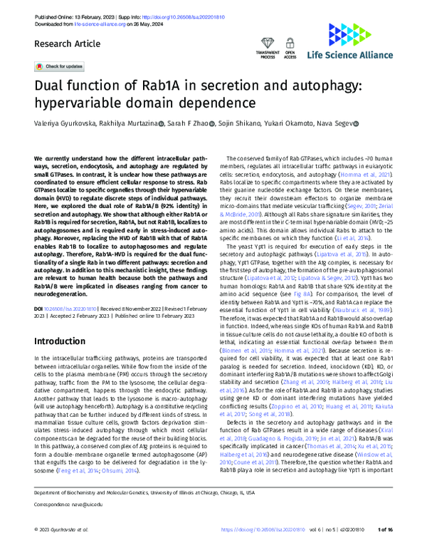 (PDF) Dual function of Rab1A in secretion and autophagy: hypervariable ...