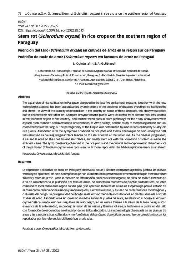 (PDF) Stem rot (Sclerotium oryzae) in rice crops on the southern region ...