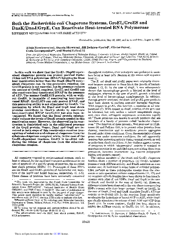 (PDF) Both the Escherichia coli chaperone systems, GroEL/GroES and DnaK ...