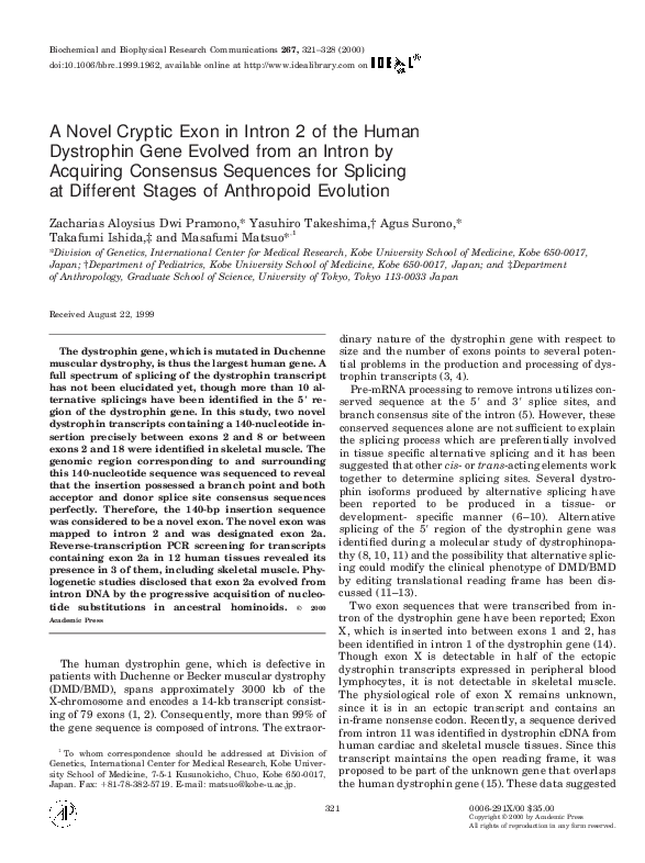 (PDF) A Novel Cryptic Exon in Intron 2 of the Human Dystrophin Gene ...