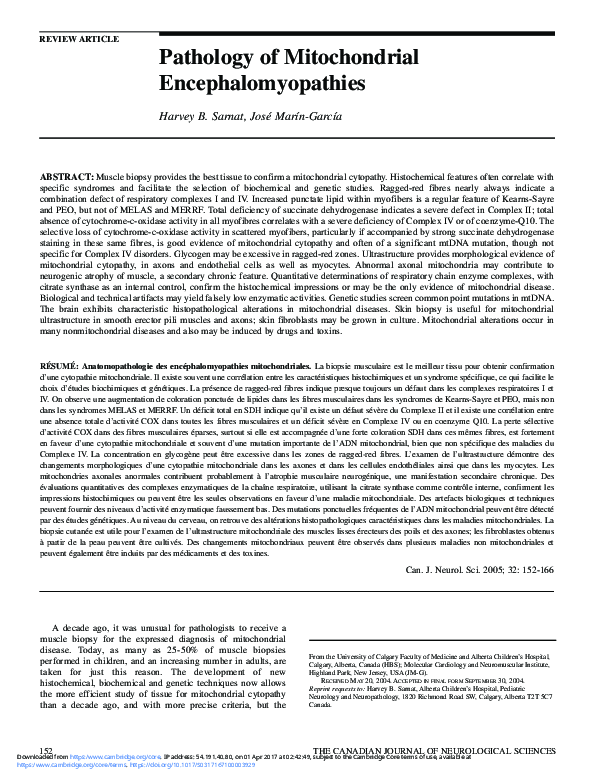 (PDF) Pathology of Mitochondrial Encephalomyopathies