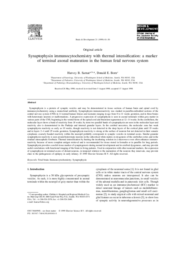 (PDF) Synaptophysin immunocytochemistry with thermal intensification: a ...