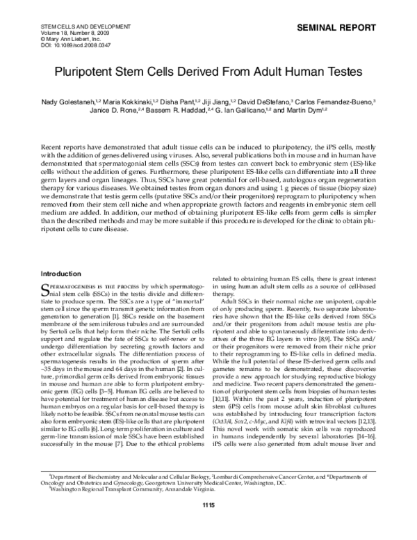 (PDF) Pluripotent Stem Cells Derived From Adult Human Testes