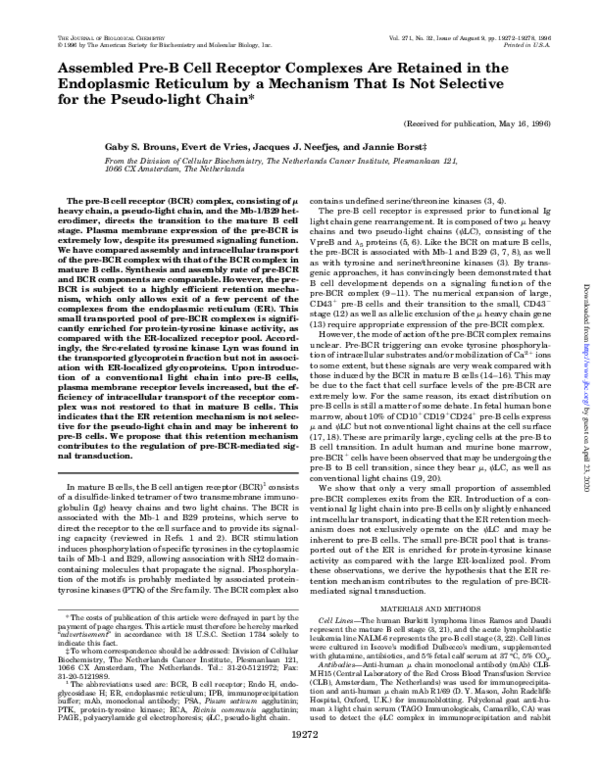 (PDF) Assembled Pre-B Cell Receptor Complexes Are Retained in the ...