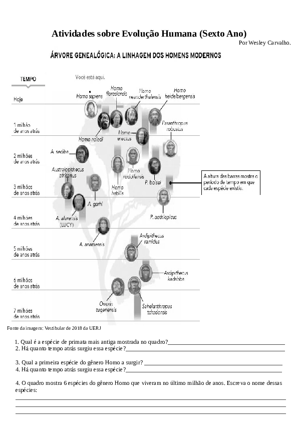 (PDF) Atividades sobre Evolução Humana (Sexto Ano)