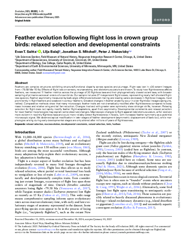 (PDF) Feather evolution following flight loss in crown group birds ...