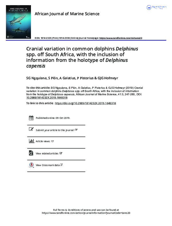 (PDF) Cranial variation in common dolphinsDelphinusspp. off South ...