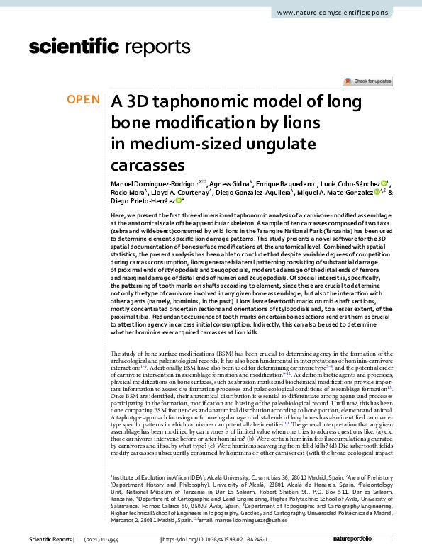 (PDF) A 3D taphonomic model of long bone modification by lions in ...