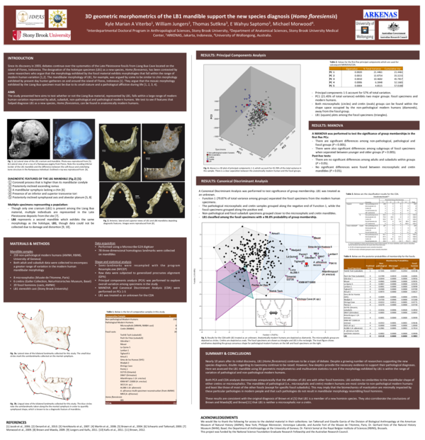 (PDF) 3D geometric morphometrics of the LB1 mandible support the new ...