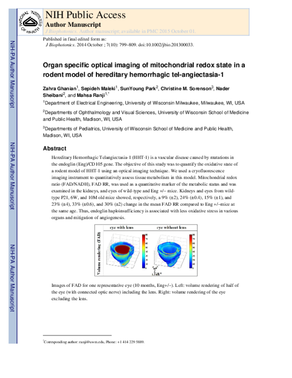 (PDF) Organ specific optical imaging of mitochondrial redox state in a ...