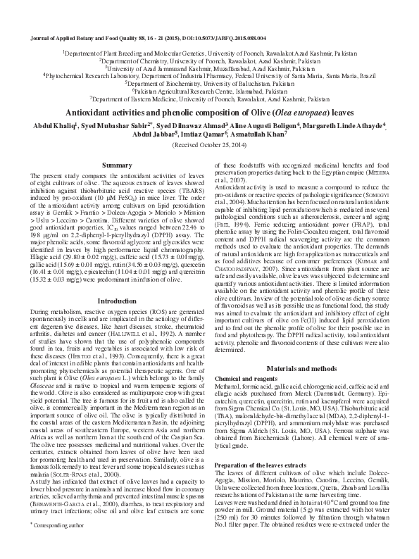 (PDF) Antioxidant activities and phenolic composition of Olive ( Olea ...