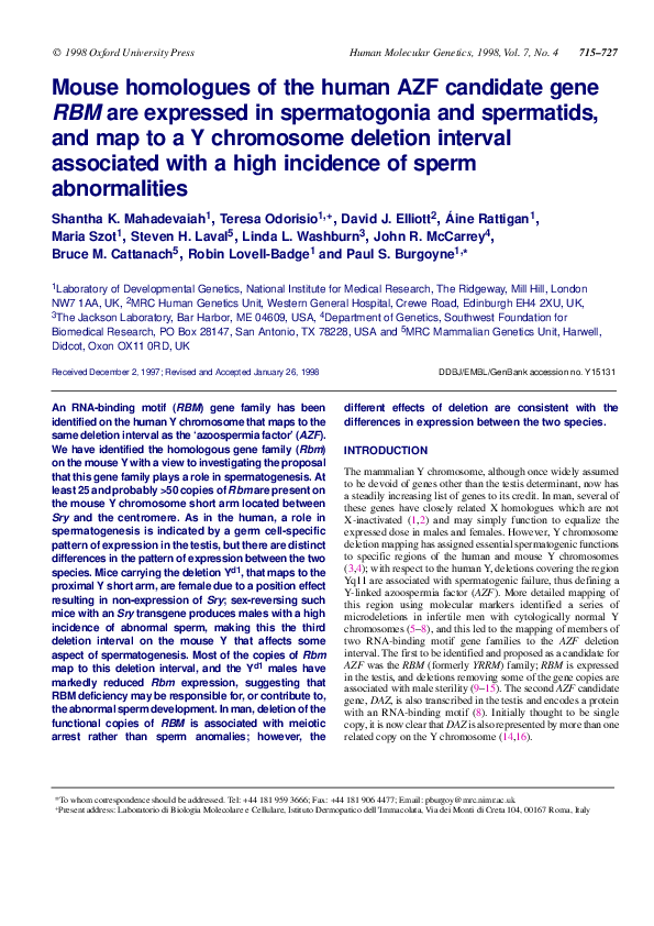 (PDF) Mouse homologues of the human AZF candidate gene RBM are ...