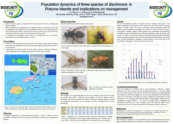 (PDF) Population dynamics of three species of Bactrocera in Rotuma ...