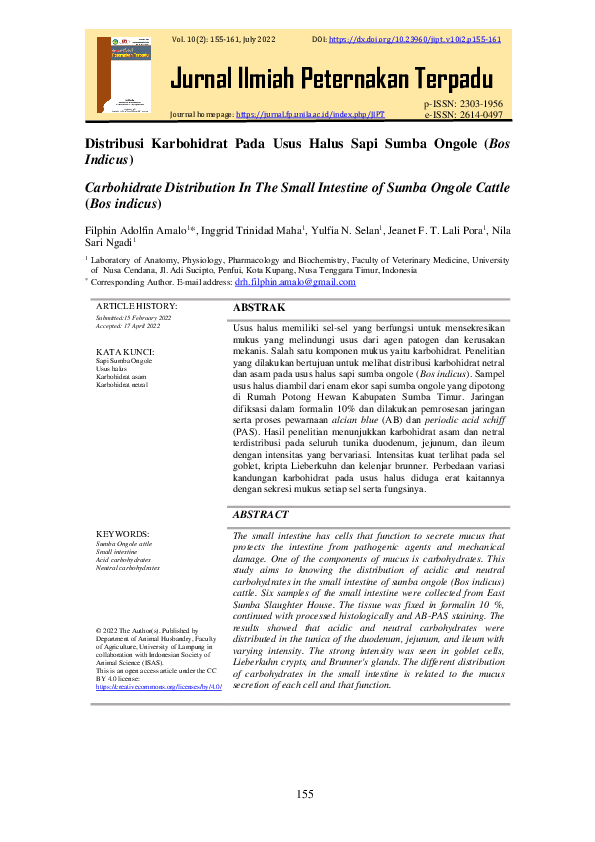 (PDF) Carbohidrate Distribution In The Small Intestine of Sumba Ongole ...