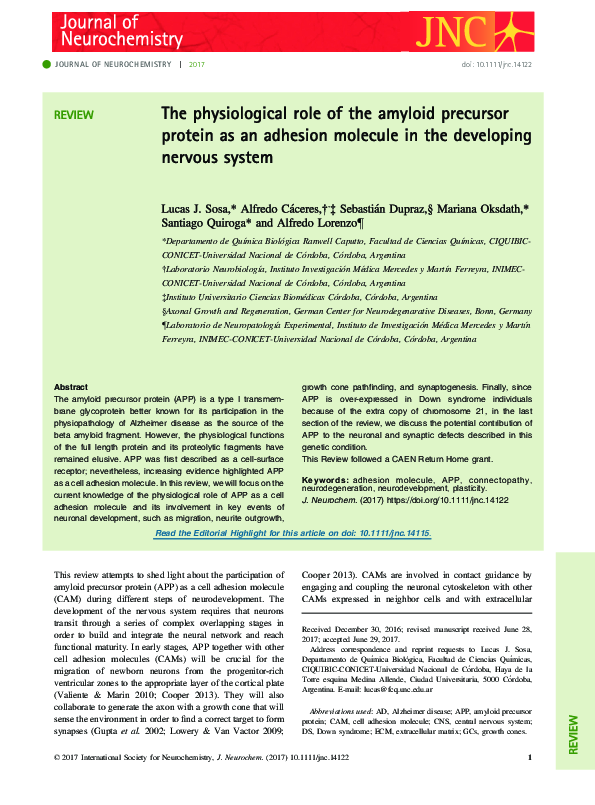 (PDF) The physiological role of the amyloid precursor protein as an ...