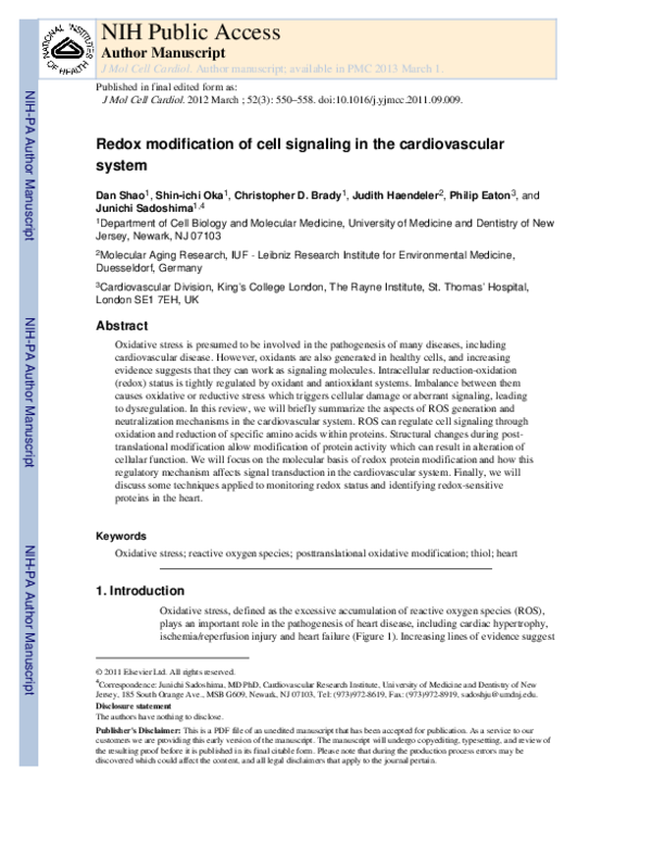 (PDF) Redox modification of cell signaling in the cardiovascular system