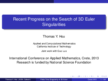 (PDF) Recent Progress on the Search of 3D Euler Singularities