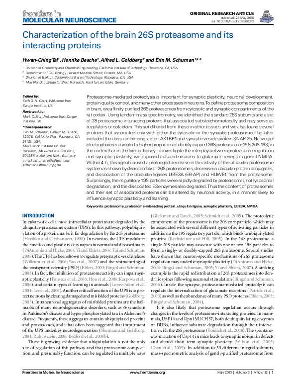 (PDF) Characterization of the Brain 26S Proteasome and its Interacting ...