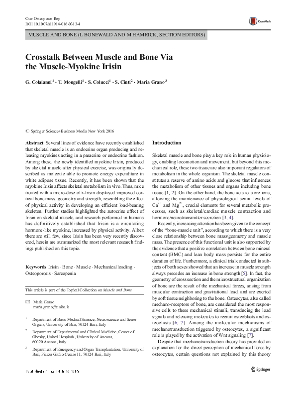 (PDF) Crosstalk Between Muscle and Bone Via the Muscle-Myokine Irisin